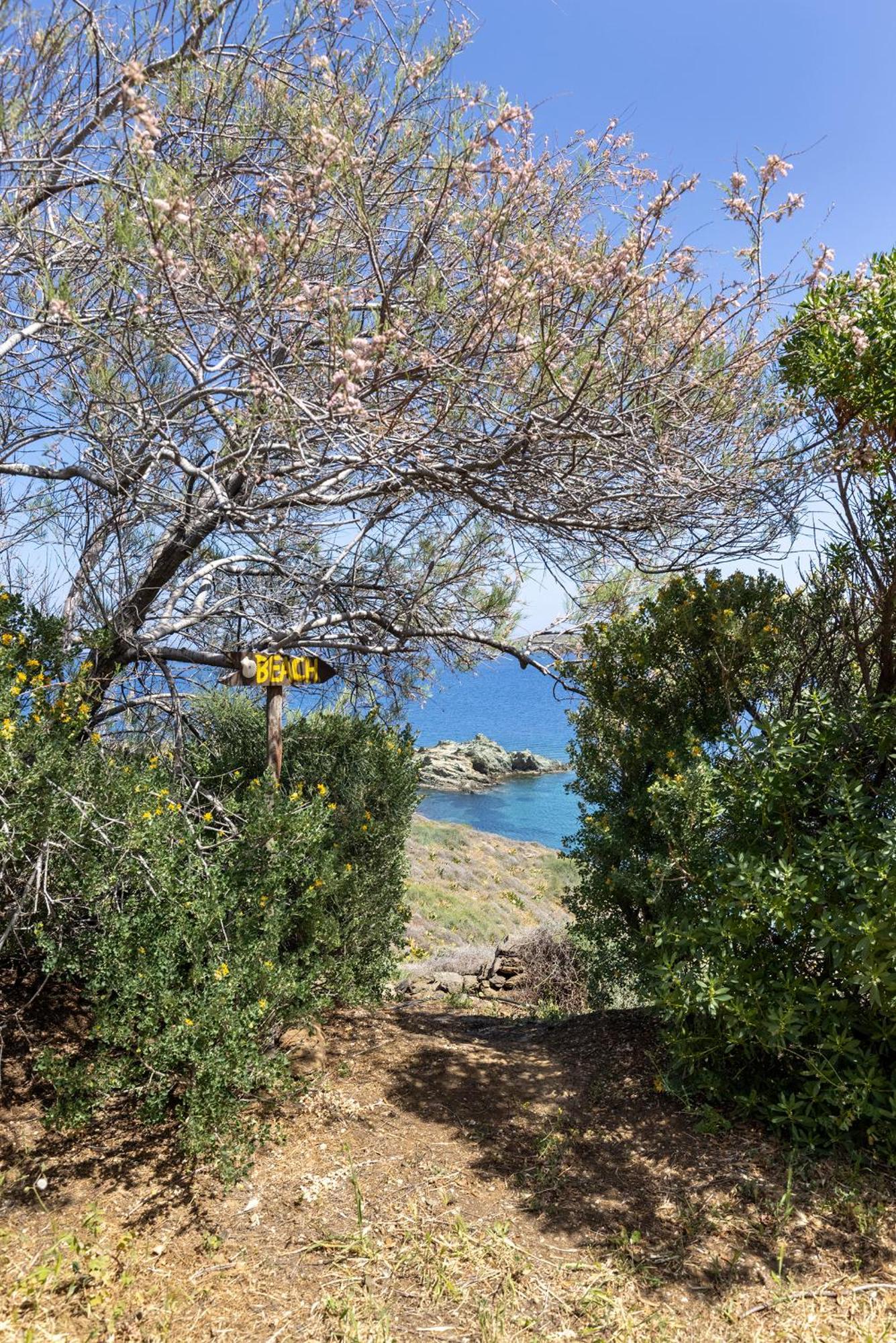 Aegean View - Seaside Apartment In Syros Azolimnos Buitenkant foto