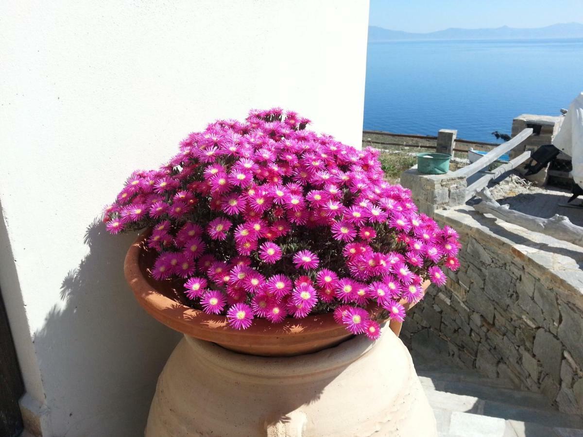 Aegean View - Seaside Apartment In Syros Azolimnos Buitenkant foto